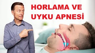 Horlama Ve Uyku Apnesi  Solunum Problemlerinizin Gerçek Nedeni  DrBerg Türkçe [upl. by Eintihw210]