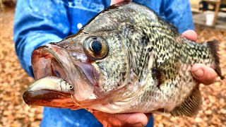 A Bobber amp Live Minnow Setup That Crappie Cant Resist [upl. by Viglione]