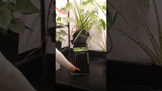 Essential Humidifiers For Plant Pros 🌱 [upl. by Olodort235]