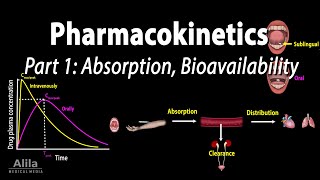 Pharmacokinetics part 1 Overview Absorption and Bioavailability Animation [upl. by Rhu]