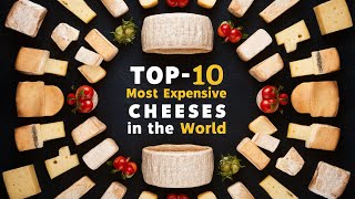 Top 10 Most Expensive Cheeses in the World [upl. by Reel]