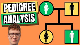 PEDIGREE ANALYSIS With Examples [upl. by Drogin]