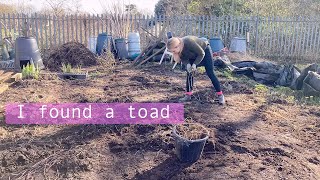 Finally Clearing Ground Allotment Vlog Ep 3 🌱 [upl. by Erdrich859]