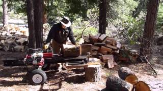 Log Splitter With Mechanical Lift [upl. by Keelby860]