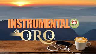 Musica Instrumental de Oro Para Escuchar Grandes Hits Instrumentales [upl. by Christianna853]