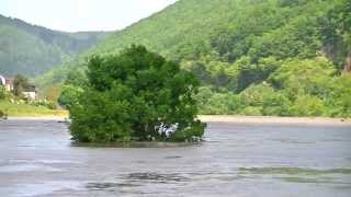 Hochwasser in Eberbach Juni 2013 [upl. by Casady]