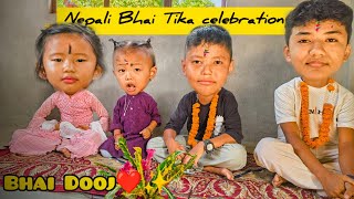 Bhai Tika Vlog  Nepali Bhai Tika Celebration  tihar [upl. by Sirrad]