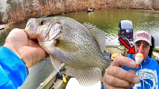 This Slip Bobber amp Live Minnow Setup Catches Giant Crappie [upl. by Enaira]