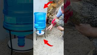 20 Litre Danacana ile Otomatik Tavuk Suluk Yapımı chicken diychickencoop diy [upl. by Ihtak657]