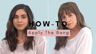 Howto Apply Clipin Bangs  The Bang by The Hair Shop [upl. by Ahsieken456]