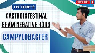 Gastrointestinal Gram  Negative Rods Part 9  Campylobacter 1 [upl. by Leander786]