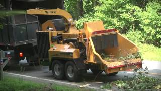 AX19 Vermeer Brush Chipper  Vermeer Tree Care Equipment [upl. by Nalda]