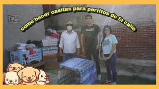 Como hacer casitas para perros con cajas de leche  TWINKSVLOGS [upl. by Phionna]