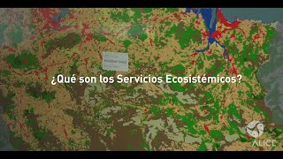 What are Ecosystem Services [upl. by Uhthna]