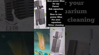 How to use power filter for your aquarium water cleaning shorts filter [upl. by Acireh]