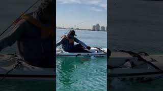 kayaking kayakfishing kayakfishinnguae stealthkayak uae fishing [upl. by Cyrano]