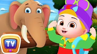 Baby Takus World  Strongest Animals Song  ChuChu TV Singalong Nursery Rhymes [upl. by Ojiram]