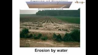 Science  Soil Erosion and Conservation  Telugu [upl. by March]