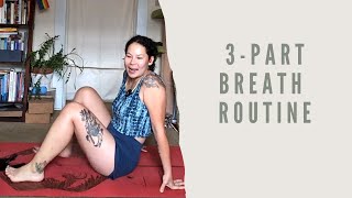 10 minute breathwork to build lung capacity [upl. by Kloman319]