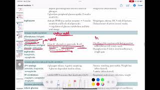 Sulfonylurea pharmacology endocrinology 88  First Aid USMLE Step 1 in UrduHindi [upl. by Lenee]