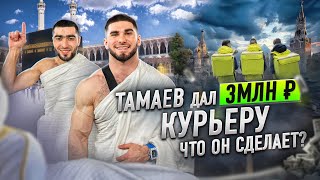 Тамаев Дал Курьеру 3 млн На что потратит Деньги [upl. by Kcirdor]