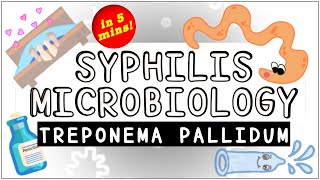 Syphilis Treponema pallidum Microbiology All you need to know [upl. by Aral123]