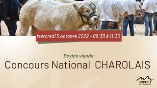 Sommet de lélevage 2022  Concours National CHAROLAIS  05102022 [upl. by Elfstan]