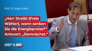 „Herr Streibl Freie Wähler wann senken Sie die Energiepreise“ Antwort „Demnächstquot [upl. by Assile]