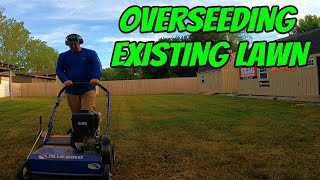 3 Easy Steps To Overseed Your Existing Lawn [upl. by Erodasi496]