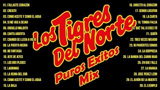 1 Hora De Puros Corridos De Los Tigres Del Norte Mix  Los Tigres Del Norte Mix Exitos Pa Pistear [upl. by Higinbotham]