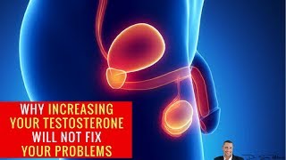 💋Why Increasing Your Testosterone Will NOT Fix Your Problems  by Dr Sam Robbins [upl. by Hasseman]