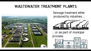 Wastewater treatment plant  How does it work [upl. by Nylzor687]