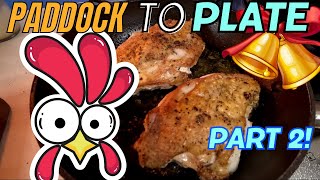 Paddock to Plate Christmas Part 2  CHICKEN [upl. by Godber]