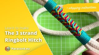 3 Strand Ringbolt Hitching Technique StepbyStep Guide to Making a Dog Leash  Tutorial [upl. by Cassaundra106]