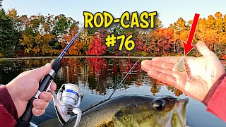 Spinnerbaits For Fall Bass Fishing  RodCast Ep 76 [upl. by Aivan965]