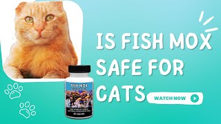 Is Fish Mox Safe For Cats [upl. by Calvina833]