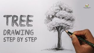 How To Draw a Tree  Easy Step By Step  Pencil Drawing Shading  Tree with Leaves [upl. by Aicsila]