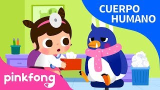 Enfermedad  Cuerpo Humano  Pinkfong Canciones Infantiles [upl. by Latt]