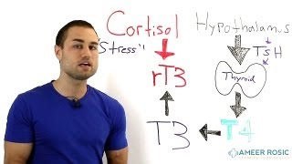 Thyroid problems Stress and Thyroid [upl. by Inalej]