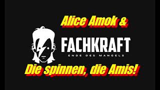 Alice Amok amp FachKraft quotDie spinnen die Amisquot [upl. by Burbank]