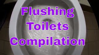 Toilet Flushing Compilation ASMR Sounds  Toilet Flushing Sounds  Relaxing Sound Effects Swirls [upl. by Salakcin]