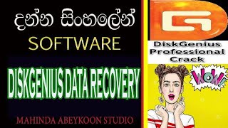 Diskgenius Professional data recovery software full review sinhala tutorial [upl. by Sirred]