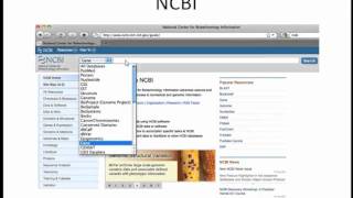 How to Align Sequences Webinar 17 Intro and NCBI Overview [upl. by Devona]