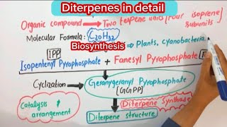 Diterpenes BiochemistryStructureBiosynthesisFunction biochemistry [upl. by Elocan]