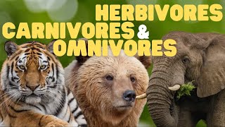 Herbivores Carnivores and Omnivores for Kids  Learn which animals eat plants meat or both [upl. by Elocel231]