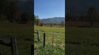 Cades Cove  Great Smoky Mountains National Park [upl. by Hanzelin]