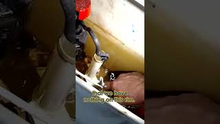 How To Replace or Adjust Your Toilet Flapper [upl. by Harraf]