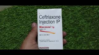 maczone 1 gm injection l maczone Injection l Ceftriaxone l maczone 1 gm injection use in hindi [upl. by Ecnar]