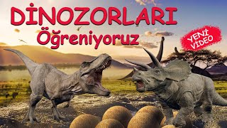 Dinozorları Öğreniyoruz  Çocuklar için Eğitici Video [upl. by Hagood]