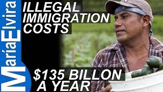 Costo of illegal immigration [upl. by Lockwood]